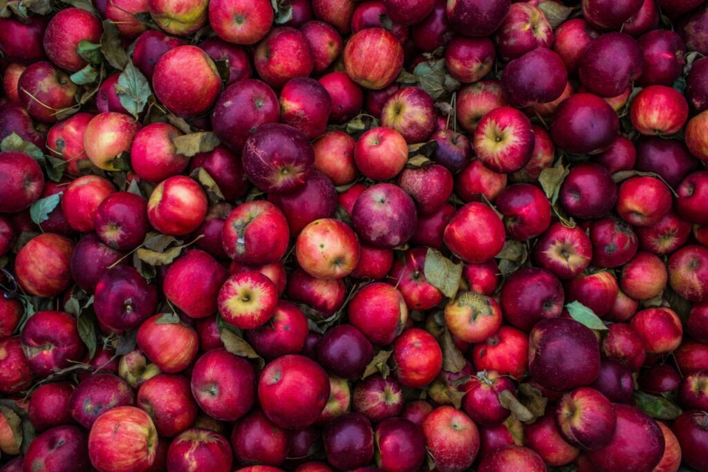 Redpack’s continuous improvement impresses apple packers