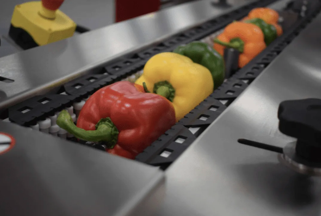 The impact of packaging on brand perception and consumer trust